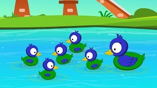 Five Little Ducks Nursery Rhymes [upl. by Frannie]