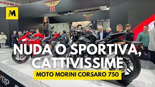 Moto Morini Corsaro 750 e Corsaro Sport a EICMA 2023 ENGLISH SUB [upl. by Gwen852]