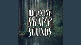 Swamp Sounds [upl. by Prunella]