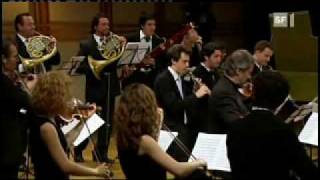 Bach Brandenburg Concerto 1 1movement [upl. by Ahron787]