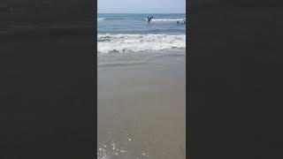 At the wildwood beach in new jersey maryefuchs summervibes wildwoodnj oceanlife vlogs [upl. by Norford]