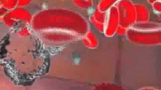 How NK cells kill tumor and virus infected cells in your body0wmv [upl. by Stern976]