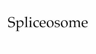 How to Pronounce Spliceosome [upl. by Adnaluoy369]