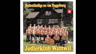 Jodlerklub Wattwil quotquotAlpSummerquot [upl. by Nida]