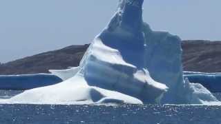 Floundering IceBerg  Greenspond Newfoundland [upl. by Nadler]