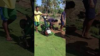 How to Setup Lawn Turfing For Home Garden in Tamil [upl. by Enetsirhc673]