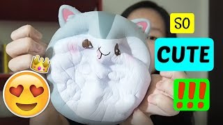 SQUISHY HAMSTER  Opening Squishy Package  Mini Squishy Haul [upl. by Ardiek]