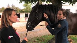 Tresser son cheval sans stresser   Equidia Life [upl. by Nivrad74]