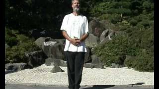 Stehende Säule Qigong Ausbildung Dr Langhoff [upl. by Enyamrahs]