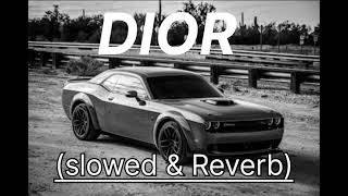 Dior Shubh🥊🎵 ॥Slowed and Reverb॥ 👿💕🎵Panjabi Song [upl. by Marshall243]