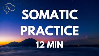 Somatic Exercises for Nervous System Regulation  12 Min Guided [upl. by Terti]