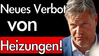 HeizungsKrise CO2Abgabe für grüne Energie geplant Grüne wollen Holzheizung verbieten [upl. by Eikcid644]