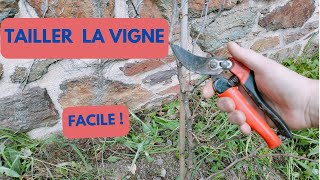 Comment TAILLER la VIGNE très FACILE [upl. by Whipple]