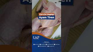 CIRICIRI DAGING AYAM TIREN JANGAN SAMPAI KETIPU [upl. by Winn]