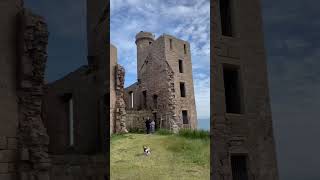 Draculas Castle in Scotland 🧛🏴󠁧󠁢󠁳󠁣󠁴󠁿 VisitScotland Aberdeenshire ExploringScotland [upl. by Analat]