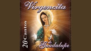 La Guadalupana [upl. by Most83]