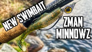 New go to bait Zman MinnowZ Giant caught [upl. by Rozalin669]