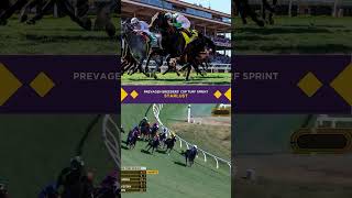 Starlust wins the 1 Million Prevagen BreedersCup Turf Sprint [upl. by Gerlac556]