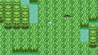 Pokemon emerald blind run 22  Wild overgrowth [upl. by Hgielsel304]