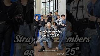 skz members age in quot2025quot 💥 strakids stay edit shorts skz kpop chkchkboom yt boybandfandom [upl. by Enitsyrhc]