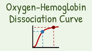 Oxygen Hemoglobin Dissociation Curve [upl. by Torto]