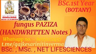 peziza BSc 1st Year BOTANY [upl. by Mazel962]