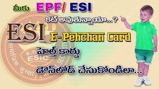 ESI HEALTH CARD DOWNLOADE PEHCHAN CARD DOWNLOAD [upl. by Eiramoj613]