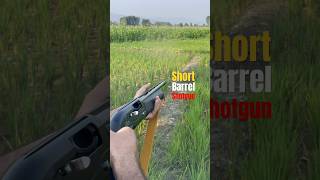 Short Barrel Shotgun [upl. by Morel]