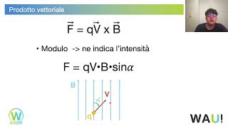 FORZA DI LORENTZ FORMULA ED ESERCIZI SVOLTI [upl. by Stevenson986]