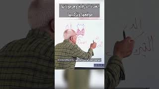 الأحياءللثانويةالعامة احياءثالثةثانوى الغدة الدرقية وهرموناتها موقعها وتركيبها [upl. by Sutsuj]