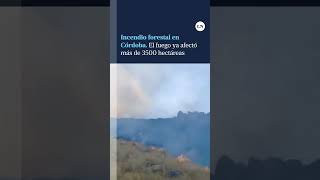 Incendio forestal en Córdoba ya afectó más de 3500 hectáreas [upl. by Atikan]