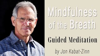 Mindfulness of the Breath Guided Meditation Practices MBSR by Jon Kabat Zinn [upl. by Aynnat]