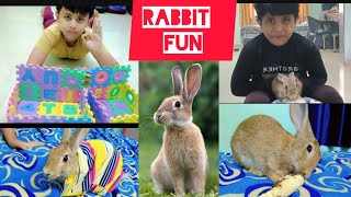 twins fun with rabbit 🐇 😍 Twinsbrother  cute bunnytrendingvideo saifan amp sehran [upl. by Eekcaj]