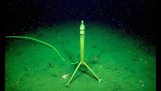 7 Eerie Sounds Recorded in the Deep Ocean [upl. by Orson520]