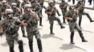 DESFILE MILITAR 2014 PARTE 3 [upl. by Jezabel]