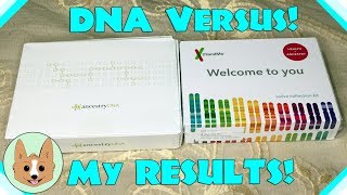 Results Comparison  AncestryDNA vs 23andMe  Genetic DNA Tests [upl. by Akiv]