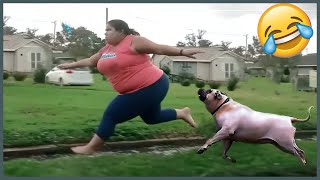 Full Video Try Not To Laugh Challenge 😂 ▶ LEVEL 15  Instant Regret Fails Compilation 2024 [upl. by Bianchi]