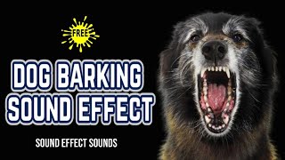 DOG BARKING  Dog Sound Effect [upl. by Ploch]