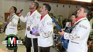 Los Liricos Jr  La guadalupana Serenata a la virgen de Guadalupe [upl. by Hamann17]