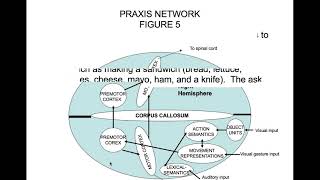 Apraxia Part 3 Conceptional Ideational and Construction Apraxia [upl. by Knudson688]