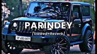 PARINDEY  Slowed  Reverb  Abreeq Alam [upl. by Ahseekal340]