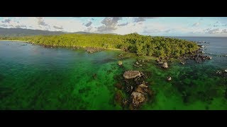 4k 10 days travel in Masoala National Park Madagascar  Wildlife and rain forest [upl. by Faulkner]