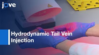 Hydrodynamic Tail Vein Injection to Genetically Modify Hepatocytes  Protocol Preview [upl. by Beattie]