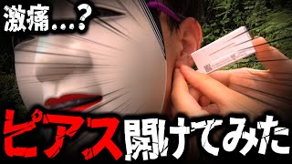 【激痛】リス村長、ピアスを開ける。【実写動画】 [upl. by Atinram934]