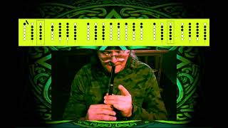 Tin whistle tutorial The Little Bag of Spuds an Irish reel with tablature [upl. by Allemrac]