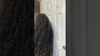 Curly faux locs no crochet or added locs [upl. by Alioz31]