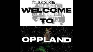 Kelsosoa  welcome to oppland [upl. by Gillian]