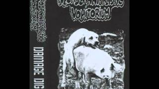 Necrocannibalistic Vomitorium  10 Tracks [upl. by Auric]