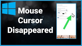 How To FIX Mouse Cursor Disappeared on Windows 10 PC amp Laptop Keyboard Only Tutorial [upl. by Sivlek]