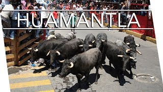 HUAMANTLA  Casi nos llevan los toros [upl. by Hauge350]